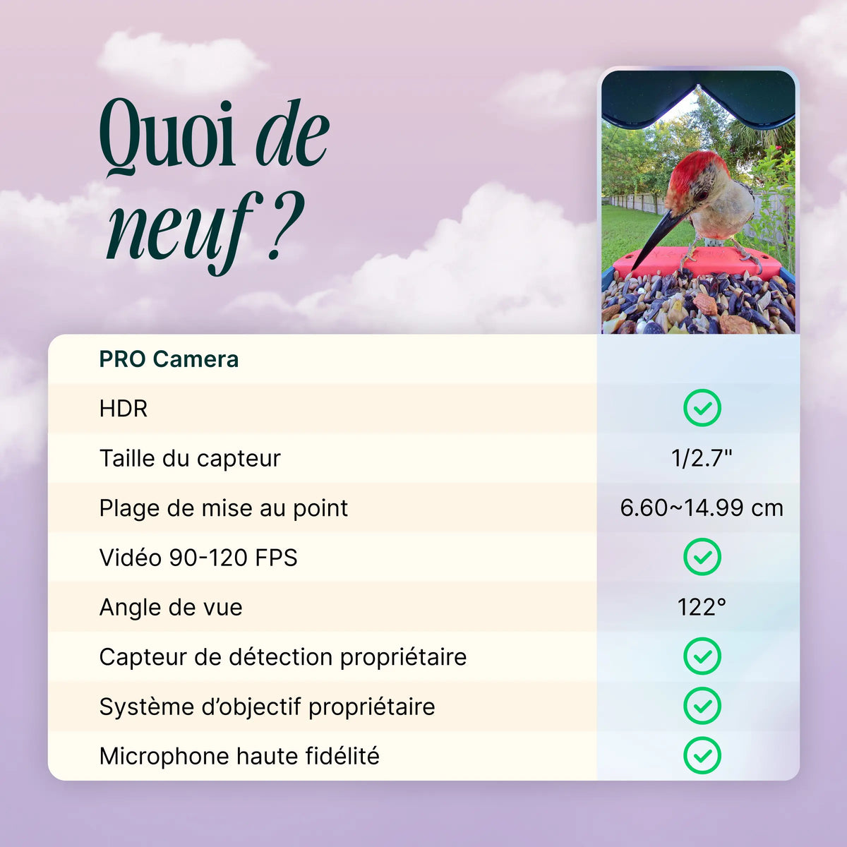 Birdbuddy Mangeoire à Oiseaux Pro Solar Smart Bird Feeder