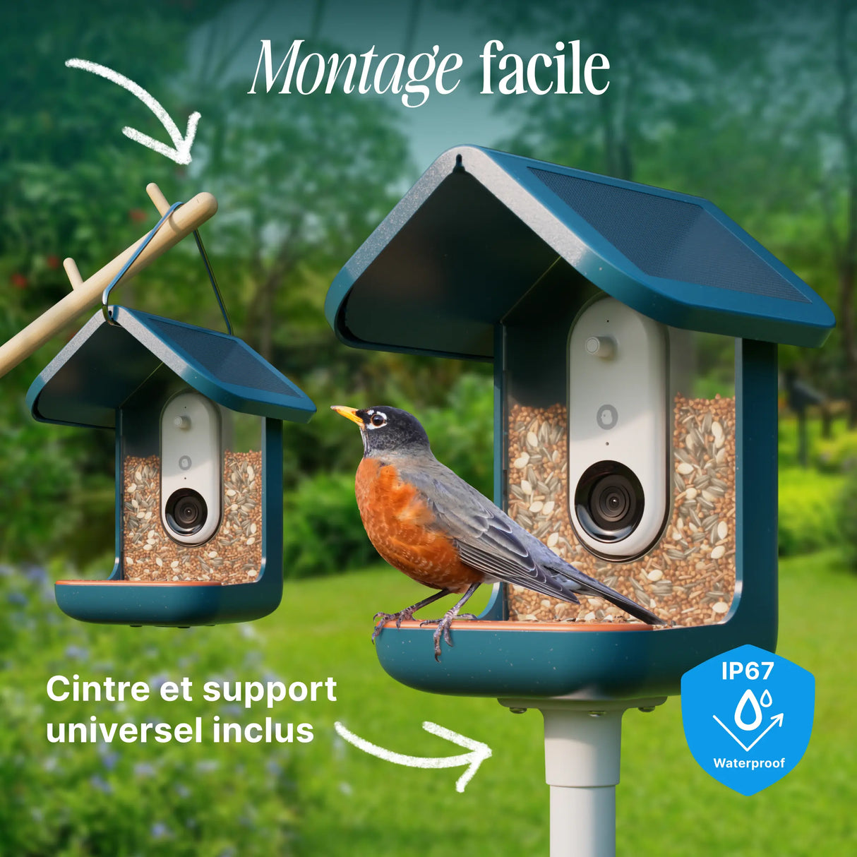 Birdbuddy Mangeoire à Oiseaux Pro Solar Smart Bird Feeder
