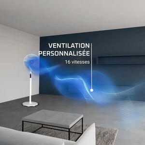 Rowenta Ventilateur Turbo Silence Extreme Plus