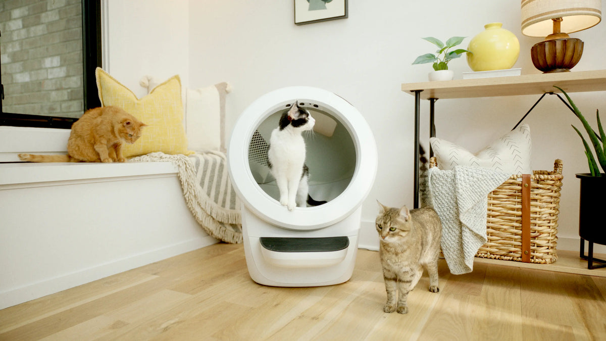 Litter-Robot 4 Litière automatique