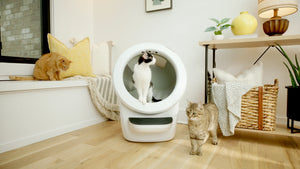 Litter-Robot 4 Litière automatique